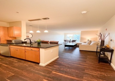 3 Repton Circle, Watertown, Massachusetts 02472, 1 Bedroom Bedrooms, 2 Rooms Rooms,1 BathroomBathrooms,Residential Lease,For Rent,Repton Circle,73264803