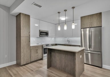 771 Harrison Ave, Boston, Massachusetts 02118, 2 Bedrooms Bedrooms, 6 Rooms Rooms,2.5 BathroomsBathrooms,Residential Lease,For Rent,Harrison Ave,73279999