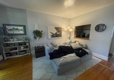 44 East Springfield St, Boston, Massachusetts 02118, 2 Bedrooms Bedrooms, 3 Rooms Rooms,1 BathroomBathrooms,Residential Lease,For Rent,East Springfield St,73275927