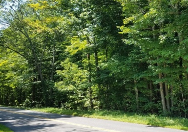 266 Holland Rd, Sturbridge, Massachusetts 01518, ,Land,For Sale,Holland Rd,73281991