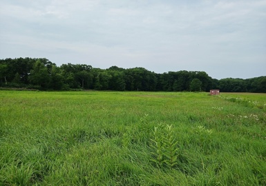 off High Road, Newbury, Massachusetts 01951, ,Land,For Sale,High Road,73270749
