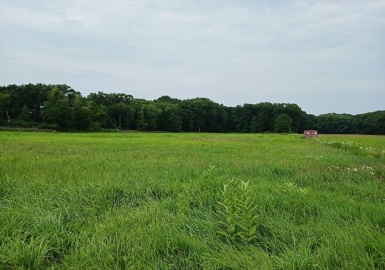 off High Road, Newbury, Massachusetts 01951, ,Land,For Sale,High Road,73276161