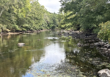 236 Dedham St, Dover, Massachusetts 02030, ,Land,For Sale,Dedham St,73286666