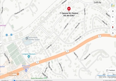 71 Spooner Rd, Brookline, Massachusetts 02467, ,Land,For Sale,Spooner Rd,73289359