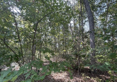 156 Rocky Hill Rd, Rehoboth, Massachusetts 02769, ,Land,For Sale,Rocky Hill Rd,73289527