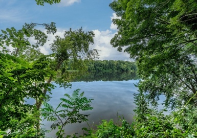 56 River Dr, Hadley, Massachusetts 01035, ,Land,For Sale,River Dr,73275969