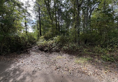 117 Pennywise Path, Edgartown, Massachusetts 02539, ,Land,For Sale,Pennywise Path,73298018