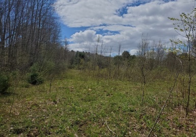 61 Bates St, North Brookfield, Massachusetts 01535, ,Land,For Sale,Bates St,73299528