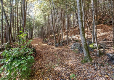 0 Orange Road, Warwick, Massachusetts 01378, ,Land,For Sale,Orange Road,73303111