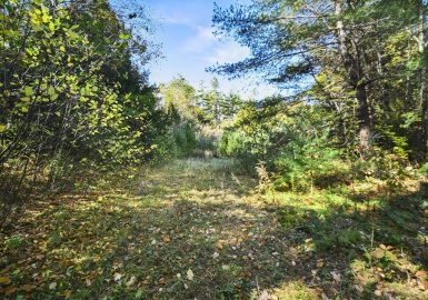 0 Main Rd, Phillipston, Massachusetts 01331, ,Land,For Sale,Main Rd,73304966