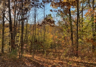 539 Fox Hill Road, Bernardston, Massachusetts 01337, ,Land,For Sale,Fox Hill Road,73305859