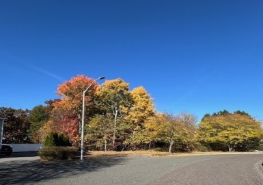18 Jennings Circle, Peabody, Massachusetts 01960, ,Land,For Sale,Jennings Circle,73305867