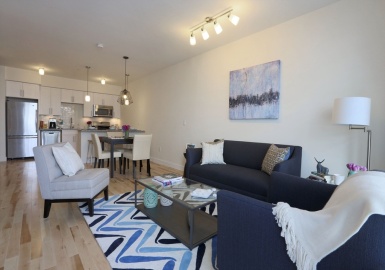 603 Concord, Cambridge, Massachusetts 02138, 1 Bedroom Bedrooms, 2 Rooms Rooms,1 BathroomBathrooms,Residential Lease,For Rent,Concord,73308327