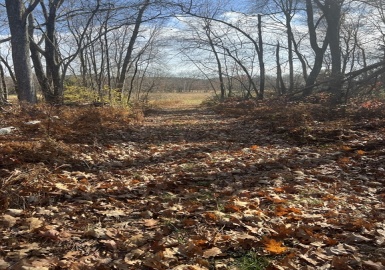 0 N Liberty St, Belchertown, Massachusetts 01007, ,Land,For Sale,N Liberty St,73308755