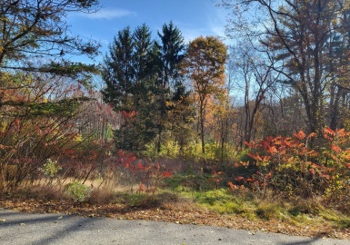 0 Hillside Drive, Brimfield, Massachusetts 01010, ,Land,For Sale,Hillside Drive,73309011