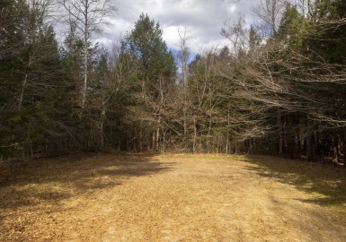 0 Pickerel Close Rd, Becket, Massachusetts 01223, ,Land,For Sale,Pickerel Close Rd,73309254