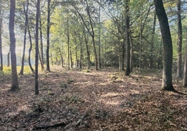 Lot2 North Hatfield Road, Hatfield, Massachusetts 01038, ,Land,For Sale,North Hatfield Road,73309676