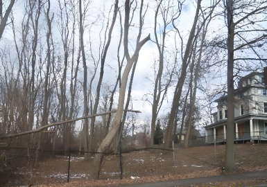 LOT 3 N S Worthington St, Springfield, Massachusetts 01109, ,Land,For Sale,N S Worthington St,73315648
