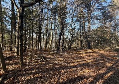 0 Lyman Barnes Rd, Brimfield, Massachusetts 01010, ,Land,For Sale,Lyman Barnes Rd,73318202