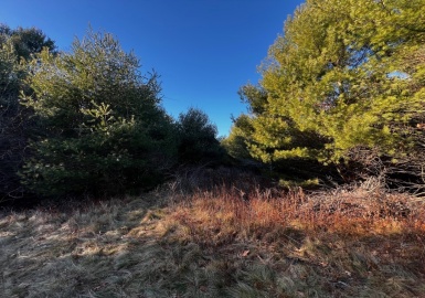 480 Wareham St., Middleboro, Massachusetts 02346, ,Land,For Sale,Wareham St.,73318684