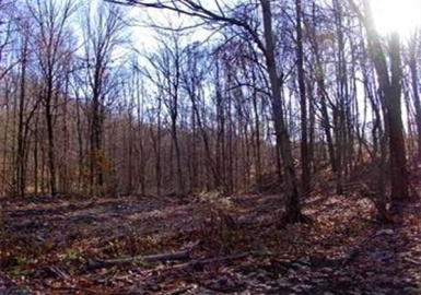 474 Mountain Road, Wilbraham, Massachusetts 01095, ,Land,For Sale,Mountain Road,73318965