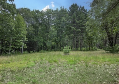 0 Mass Turnpike Rd, Russell, Massachusetts 01071, ,Land,For Sale,Mass Turnpike Rd,73320508
