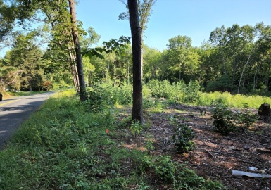 Lot 7 Cold Hill, Granby, Massachusetts 01033, ,Land,For Sale,Cold Hill,73321055