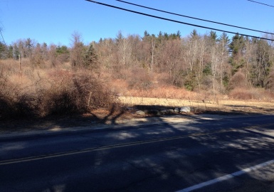 525 Parker St, Gardner, Massachusetts 01440, ,Land,For Sale,Parker St,72791317