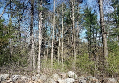 234 Wickaboag, West Brookfield, Massachusetts 01585, ,Land,For Sale,Wickaboag,73322934
