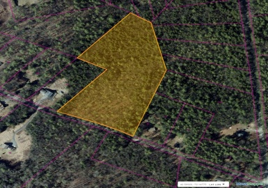 Lot 1 Willis Rd, Phillipston, Massachusetts 01331, ,Land,For Sale,Willis Rd,73323940