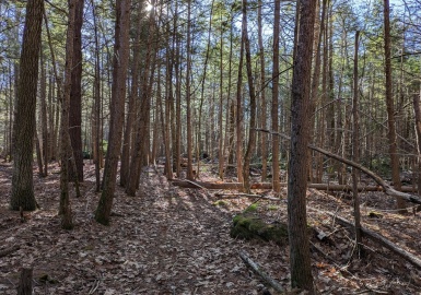 Lot B Willis Rd, Phillipston, Massachusetts 01331, ,Land,For Sale,Willis Rd,73323943