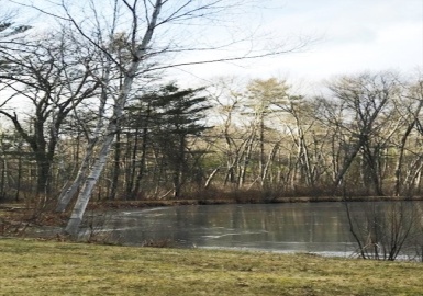 0 Judy Farm Road, Carlisle, Massachusetts 01741, ,Land,For Sale,Judy Farm Road,73326447
