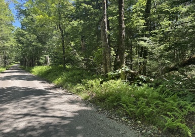 0 Old Stage Rd, Ashfield, Massachusetts 01330, ,Land,For Sale,Old Stage Rd,73326639