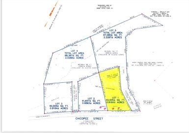 Lot 1 Chicopee Street, Granby, Massachusetts 01033, ,Land,For Sale,Chicopee Street,73327723