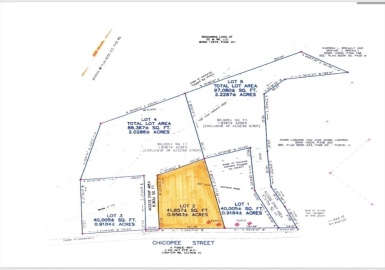 Lot 2 Chicopee Street, Granby, Massachusetts 01033, ,Land,For Sale,Chicopee Street,73327725