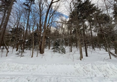 0 Manley Phelps Road, Monroe, Massachusetts 01350, ,Land,For Sale,Manley Phelps Road,73331720