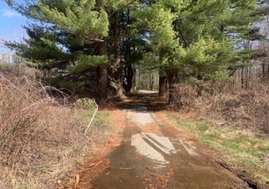 1212 Southbridge Rd, Warren, Massachusetts 01083, ,Land,For Sale,Southbridge Rd,73335369