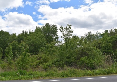 0 Broadway, Haverhill, Massachusetts 01830, ,Land,For Sale,Broadway,73335816