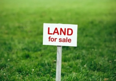 593 Old Warren Rd, Palmer, Massachusetts 01069, ,Land,For Sale,Old Warren Rd,73339970