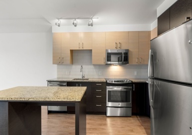 99 Kneeland St, Boston, Massachusetts 02111, 1 Bedroom Bedrooms, 3 Rooms Rooms,1 BathroomBathrooms,Residential Lease,For Rent,Kneeland St,73340433