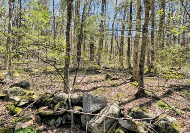 lot 13 Skyline, Chester, Massachusetts 01011, ,Land,For Sale,Skyline,73342032