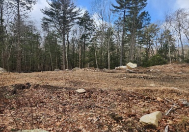 20 Greenwood Street, Sherborn, Massachusetts 01770, ,Land,For Sale,Greenwood Street,73342881