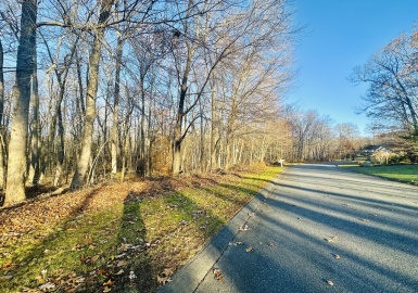 lot 11 Ridgeview Ter., Southwick, Massachusetts 01077, ,Land,For Sale,Ridgeview Ter.,73344635