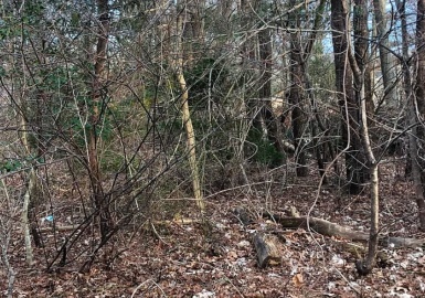 38 Dunns Pond Rd, Barnstable, Massachusetts 02601, ,Land,For Sale,Dunns Pond Rd,73345013