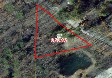 17 Vinton Rd, Sturbridge, Massachusetts 01566, ,Land,For Sale,Vinton Rd,73345085