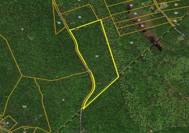31 Skyline Trail, Chester, Massachusetts 01011, ,Land,For Sale,Skyline Trail,73345430