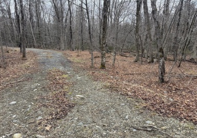237 Trouble St, Cummington, Massachusetts 01026, ,Land,For Sale,Trouble St,73353285