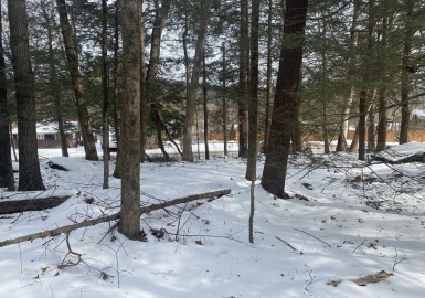 Lot 69 Federal St, Belchertown, Massachusetts 01007, ,Land,For Sale,Federal St,73352905