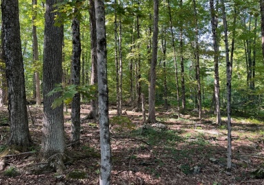 26 Old Brooks Station Rd, Princeton, Massachusetts 01541, ,Land,For Sale,Old Brooks Station Rd,73289361