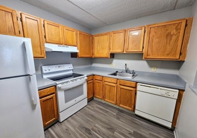 50 Island View, Boston, Massachusetts 02125, 1 Bedroom Bedrooms, 4 Rooms Rooms,1 BathroomBathrooms,Residential Lease,For Rent,Island View,73357592